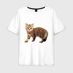 Мужская футболка хлопок Oversize Полосатый котенок серо-коричневый