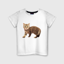 Детская футболка хлопок Полосатый котенок серо-коричневый