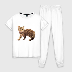 Женская пижама хлопок Полосатый котенок серо-коричневый