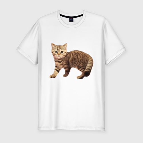 Мужская футболка хлопок Slim Полосатый котенок серо-коричневый, цвет белый