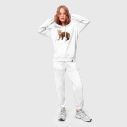 Женский костюм с толстовкой хлопок Полосатый котенок серо-коричневый - фото 2