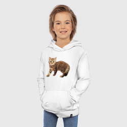 Толстовка с принтом Полосатый котенок серо-коричневый для ребенка, вид на модели спереди №4. Цвет основы: белый