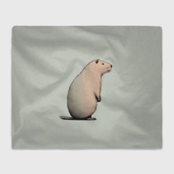 Плед 3D Capybara art