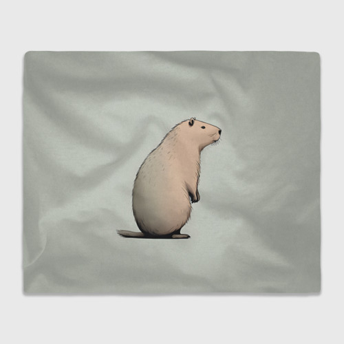 Плед 3D Capybara art, цвет 3D (велсофт)