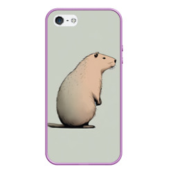 Чехол для iPhone 5/5S матовый Capybara art