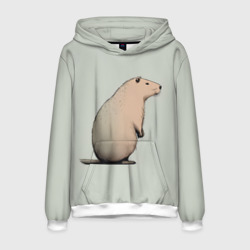 Мужская толстовка 3D Capybara art