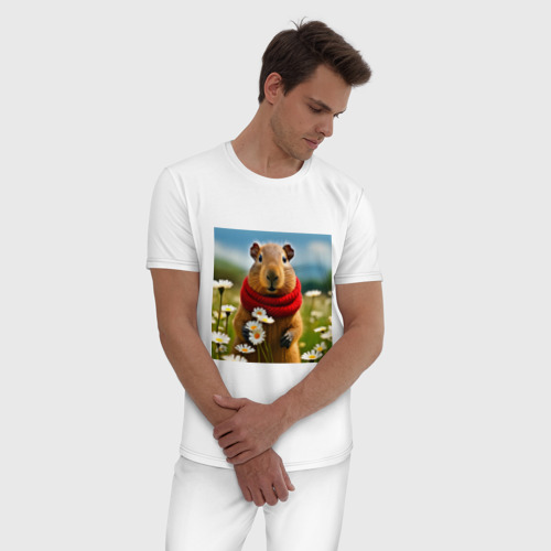 Мужская пижама хлопок с принтом Мем капибара в шарфике и поле ромашковое, фото на моделе #1
