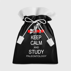 Подарочный 3D мешок Keep calm and study paleontology