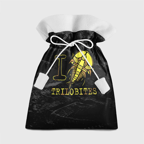 Подарочный 3D мешок I love trilobites