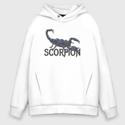 Мужское худи Oversize хлопок Знак зодиака scorpion