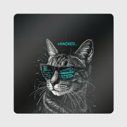 Магнит виниловый Квадрат Hacked cat