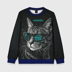 Детский свитшот 3D Hacked cat