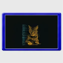 Магнит 45*70 Кот и программный код