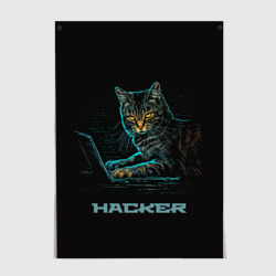 Постер Cat  hacker