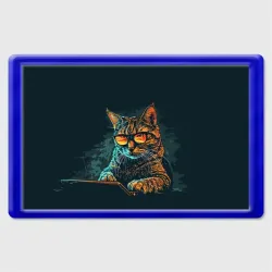 Магнит 45*70 Крутой кот хакер