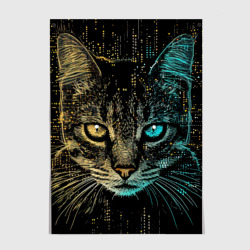 Постер Хакер кот с разноцветными глазами