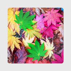 Магнит виниловый Квадрат Разноцветные осенние листья