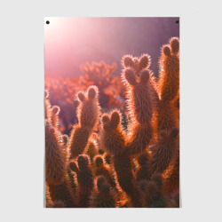 Постер Пустынные кактусы