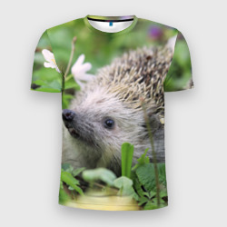 Мужская футболка 3D Slim Лесной ёжик в траве