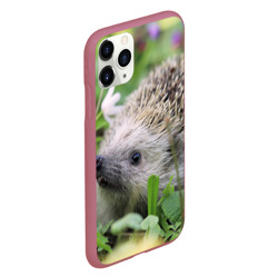 Чехол для iPhone 11 Pro матовый Лесной ёжик в траве - фото 2