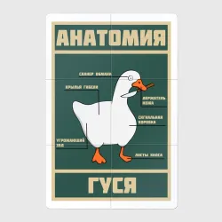 Магнитный плакат 2Х3 Анатомия гуся