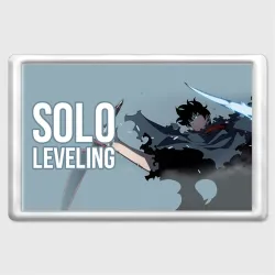 Магнит 45*70 Solo Leveling - Son