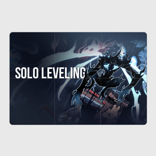 Магнитный плакат 3Х2 Solo Leveling - character