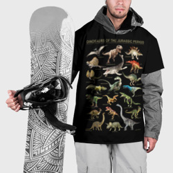 Накидка на куртку 3D Dinosaurs of the Jurassic period