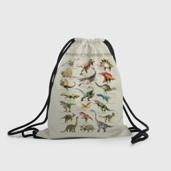 Рюкзак-мешок 3D Динозавры юрского периода