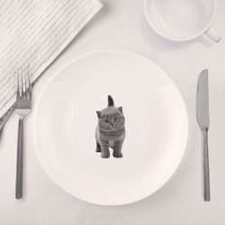 Набор: тарелка + кружка Котенок британской породы - фото 2