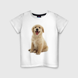 Детская футболка хлопок Пушистый щенок породы лабрадор