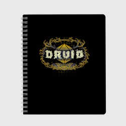Тетрадь Druid - DnD