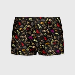 Мужские трусы 3D Colorful dinosaur - skeletons