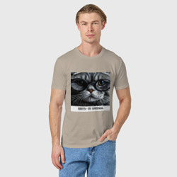 Мужская футболка хлопок Мем кот в очках: шерсть это приправа - фото 2