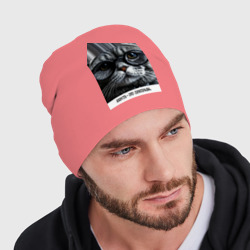 Мужская шапка демисезонная Мем кот в очках: шерсть это приправа - фото 2