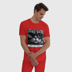Мужская пижама хлопок Мем кот в очках: шерсть это приправа - фото 2