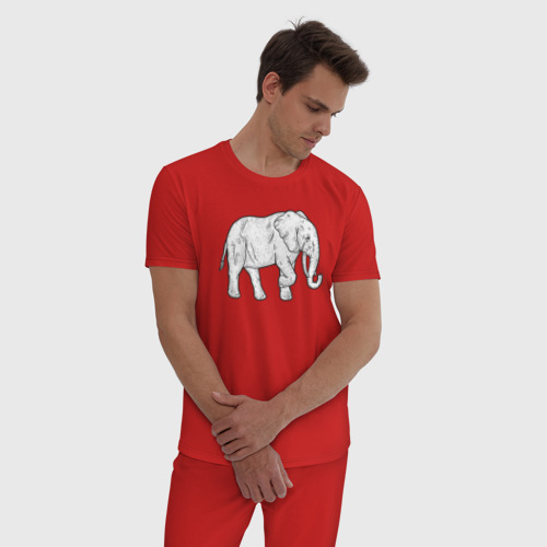 Мужская пижама хлопок с принтом Elephant, фото на моделе #1