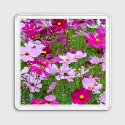 Магнит 55*55 Цветы Космея