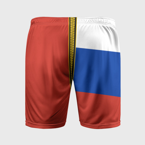 Мужские шорты спортивные Россия и СССР, цвет 3D печать - фото 2