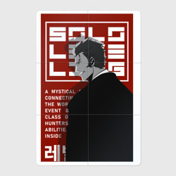 Магнитный плакат 2Х3 Solo leveling Yoon-Ho Baek