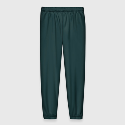 Мужские брюки 3D с принтом Тёмный синевато-зелёный однотонный, вид сзади #1