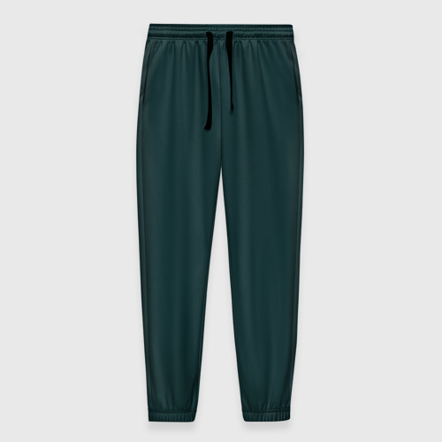 Мужские брюки 3D с принтом Тёмный синевато-зелёный однотонный, вид спереди #2