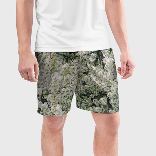Мужские шорты спортивные с принтом Цветущая вишня, фотография, фото на моделе #1