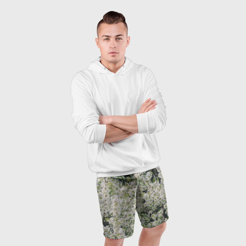 Мужские шорты спортивные с принтом Цветущая вишня, фотография, фото #4