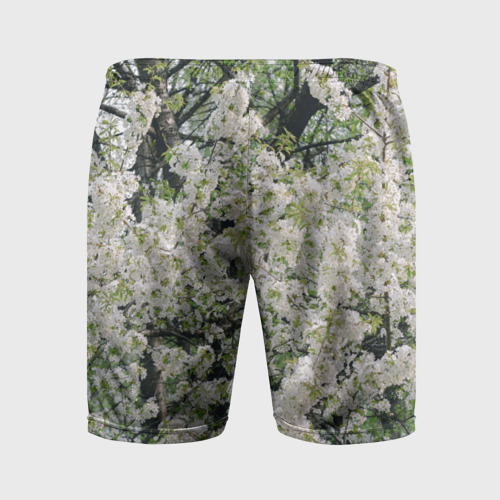 Мужские шорты спортивные с принтом Цветущая вишня, фотография, вид сзади #1