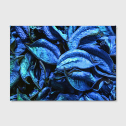 Холст с принтом Старые сухие листья синие для любого человека, вид спереди №2. Цвет основы: белый