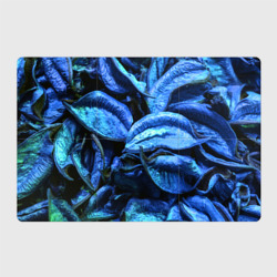 Старые сухие листья синие – Магнитный плакат 3Х2 с принтом купить