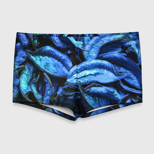 Мужские купальные плавки с принтом Старые сухие листья синие, вид спереди №1