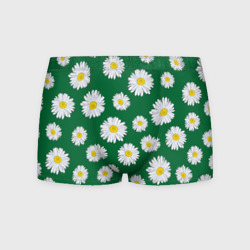 Мужские трусы 3D Ромашки поле из цветов