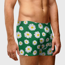 Мужские трусы 3D Ромашки поле из цветов - фото 2